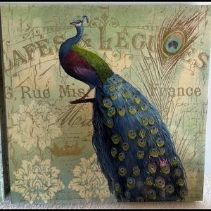 Beautiful peacock pictures